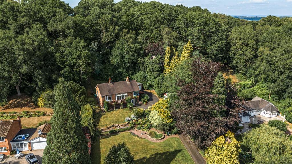 Aerial Woodland