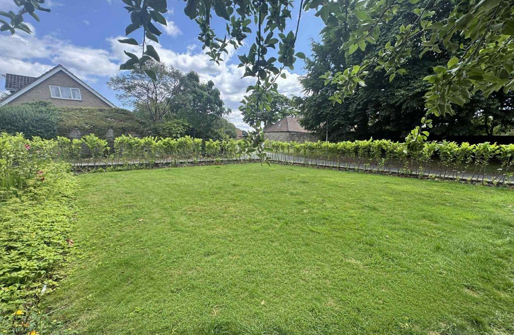 31. Side Garden