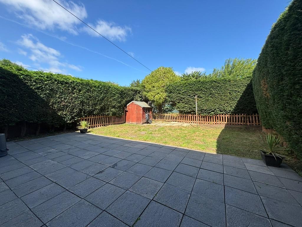 Back garden 1