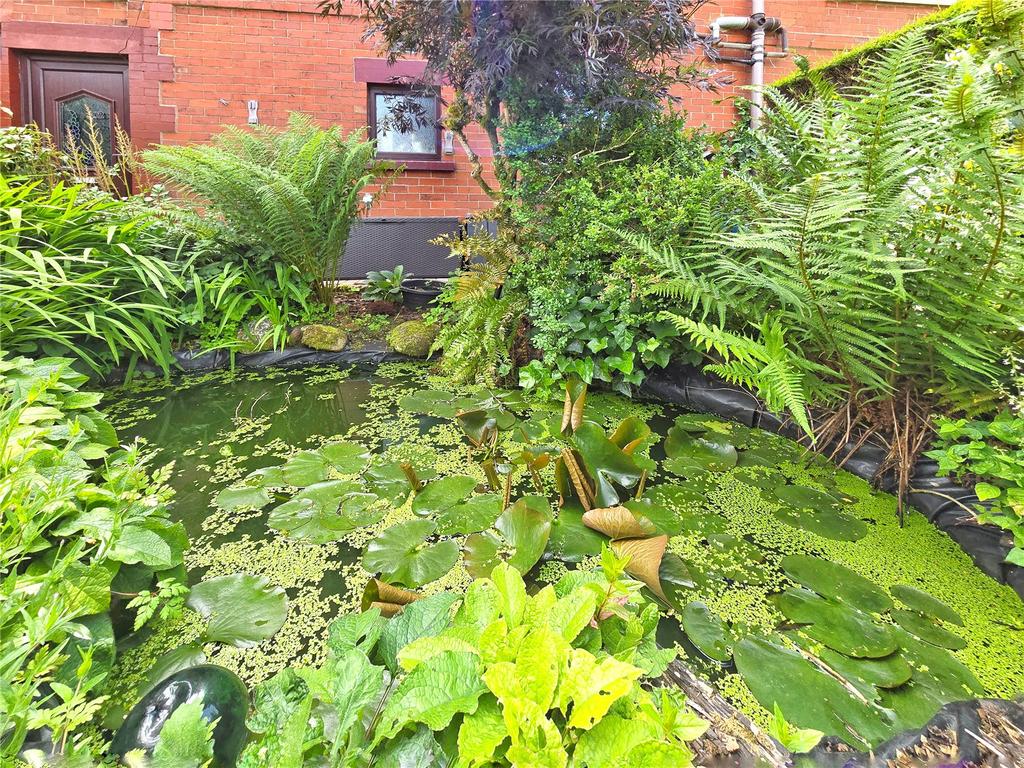 Pond