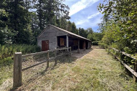 Equestrian property to rent, Lodkin Hill, Godalming