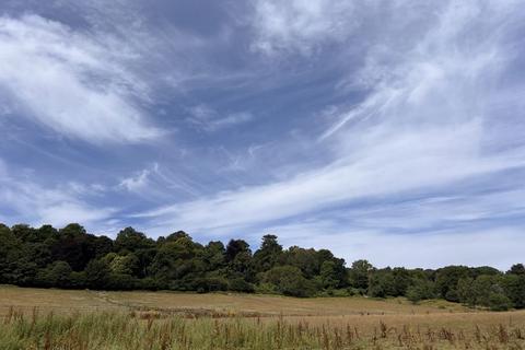 Equestrian property to rent, Lodkin Hill, Godalming