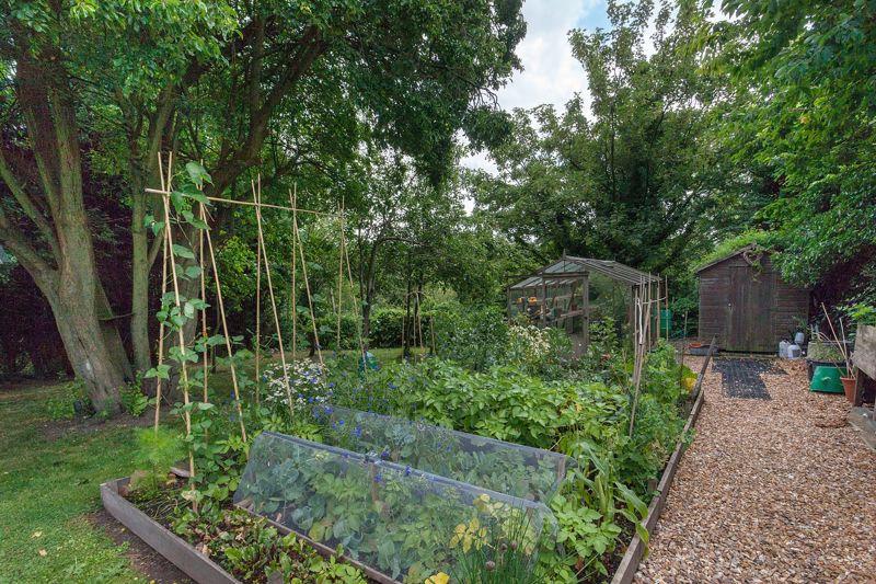 Vegetable garden