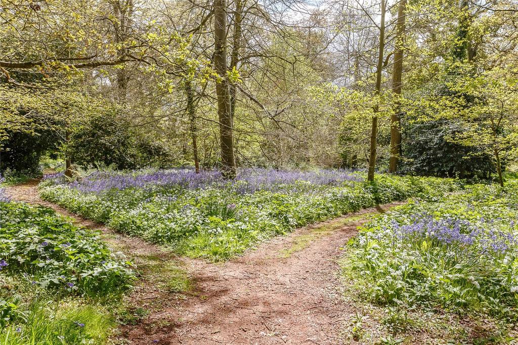 The Woodland
