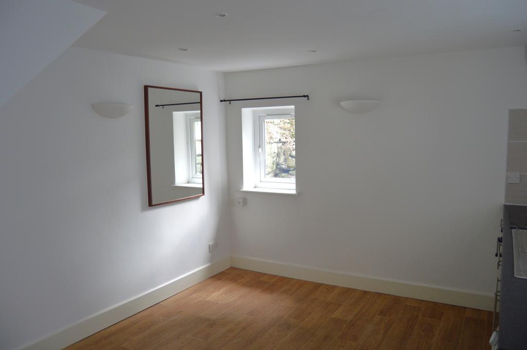 Kitchen / Living Room