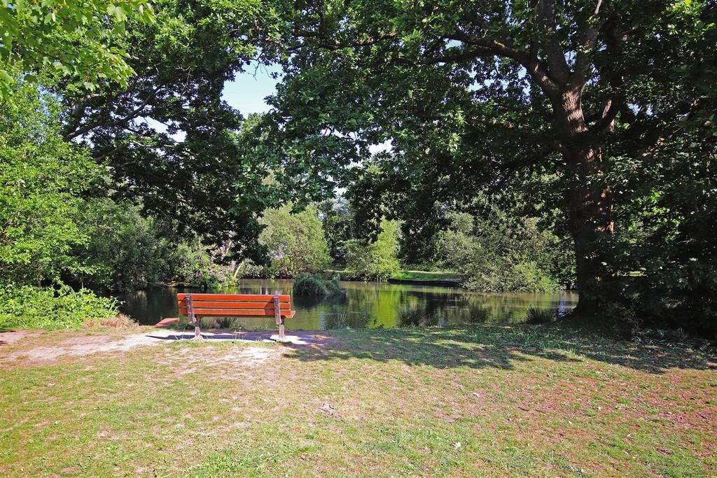 Lake.jpg