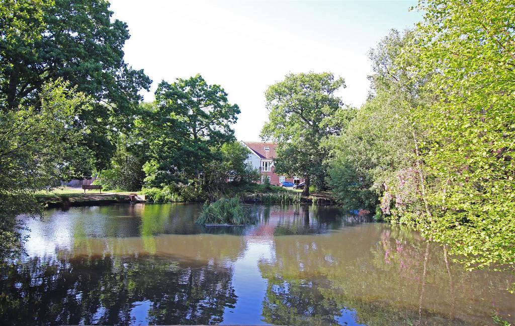 Lake 3.jpg