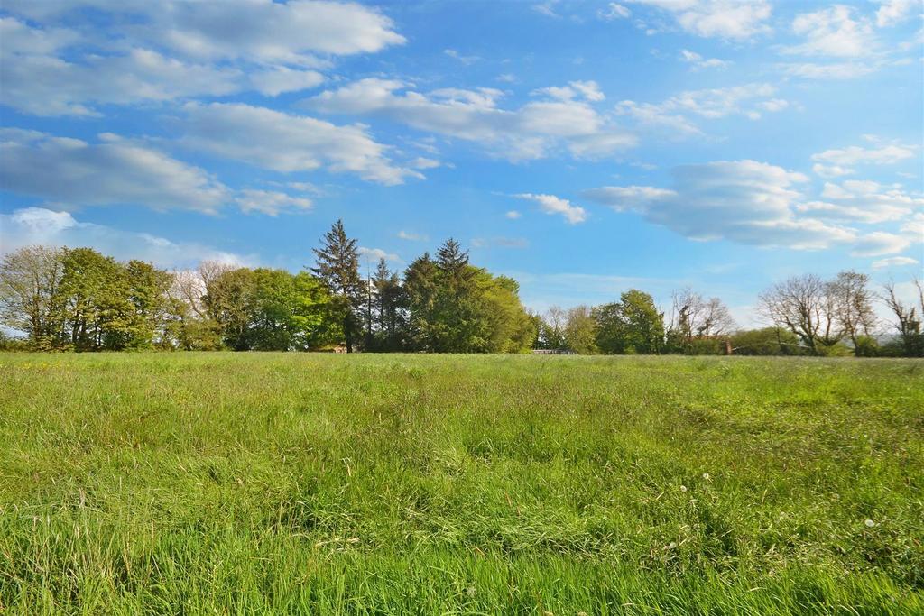 QEIuqb Cctk-glh Grh BGGOw.jpg