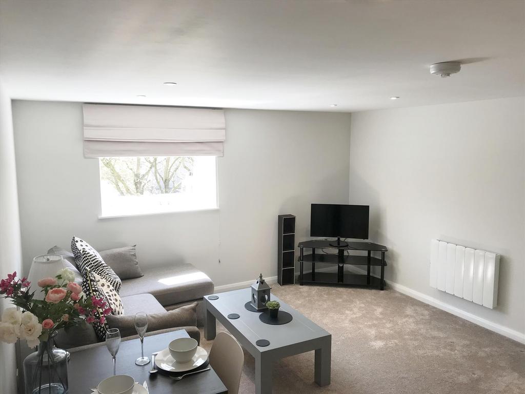 Open Plan Living Are