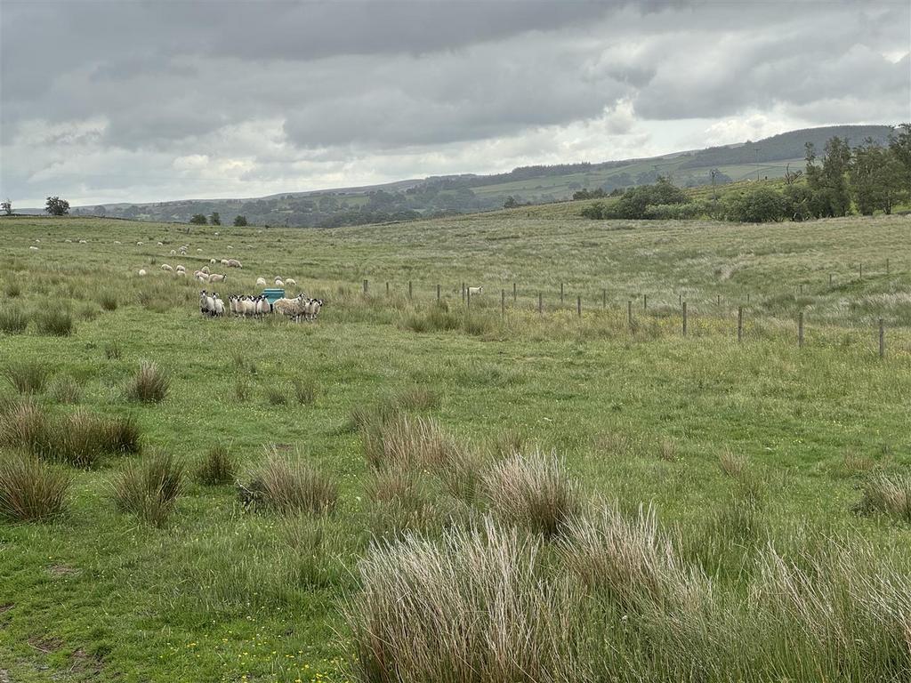 Img 4039.jpg