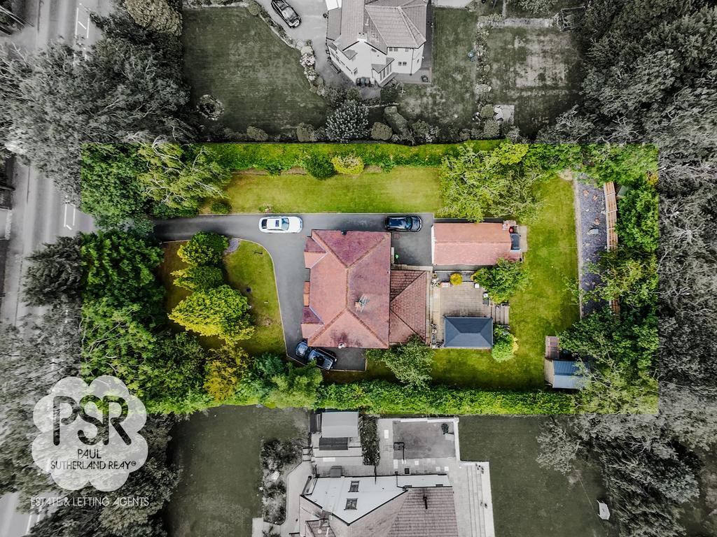 Aerial Plot View