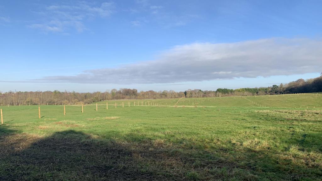 Pasture land for sale in Tring.