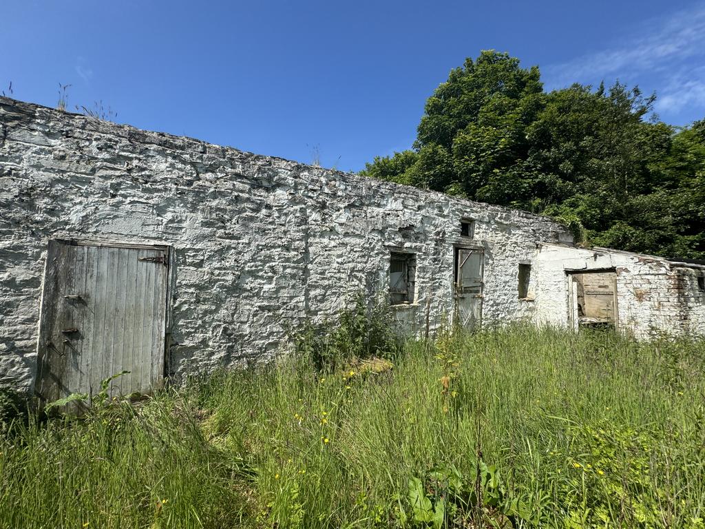The barn