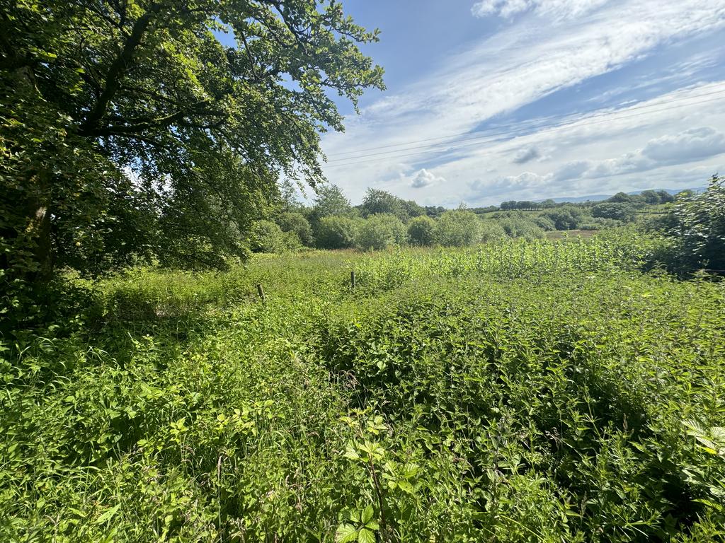 The land (third image)