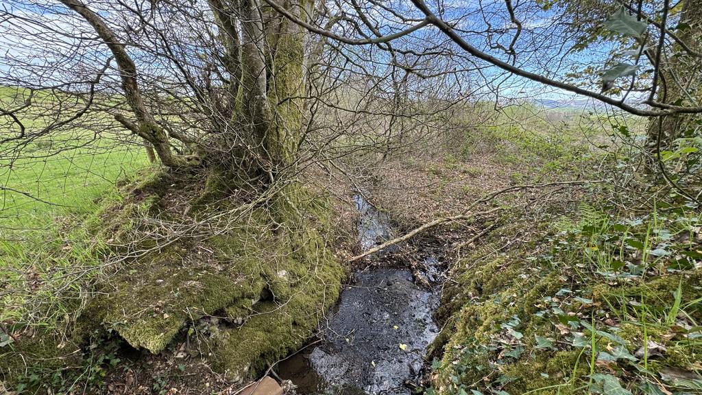 Stream boundary