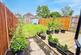 3.jpeg