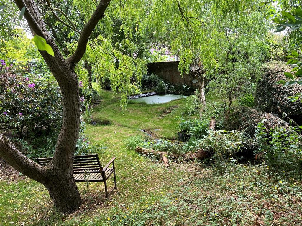Pond Area.jpg