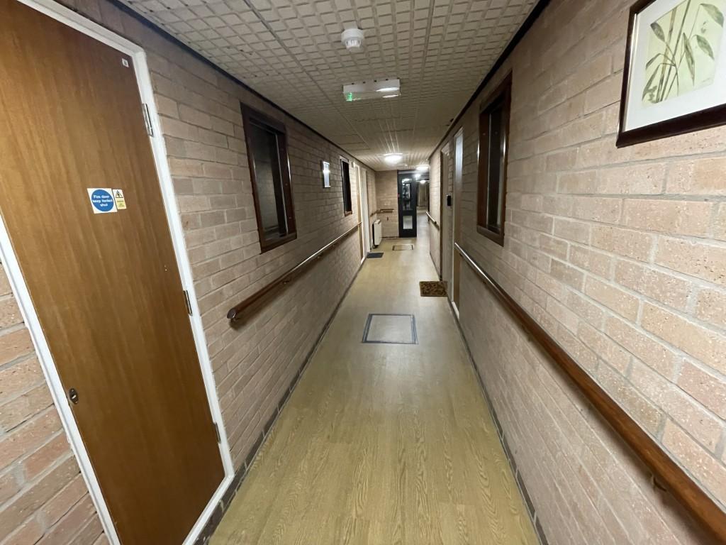 IMG 2546 T202507070817 Medium T202507071042.jpeg