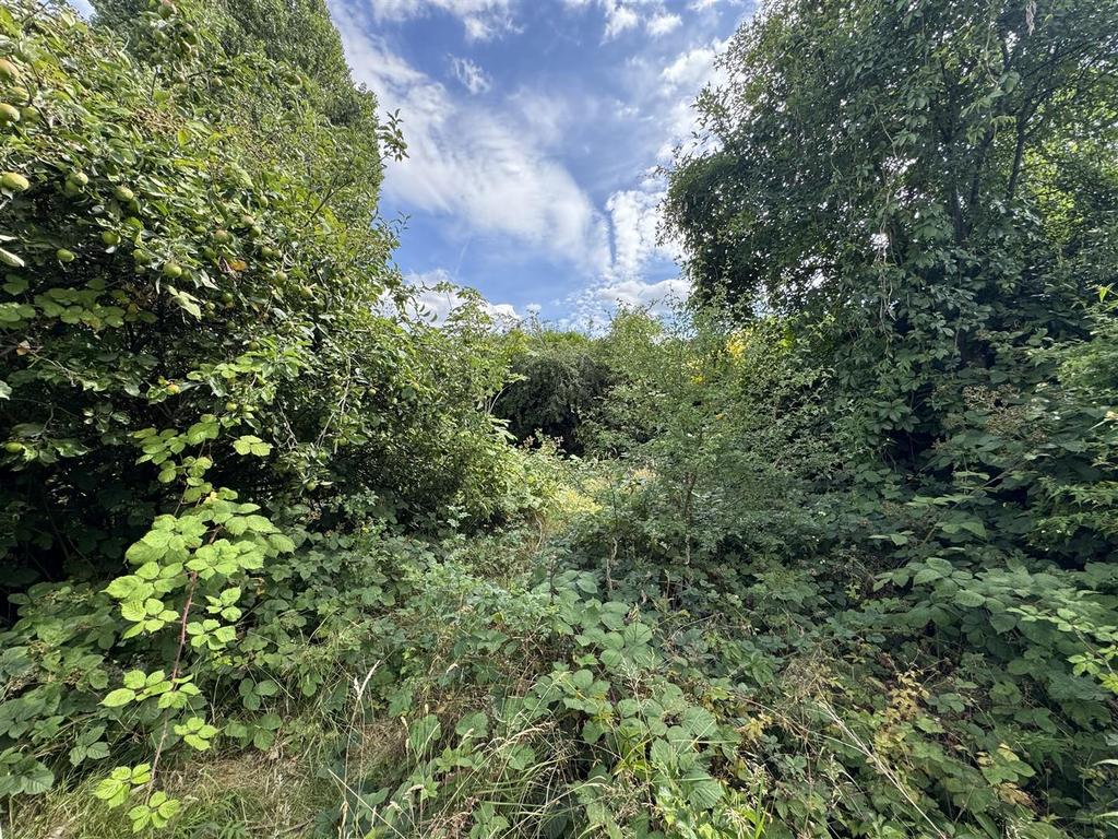 IMG 8652 (Large).JPG