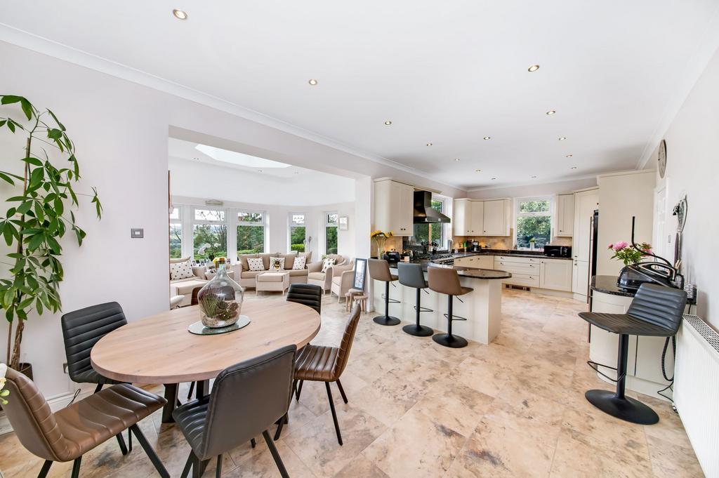 Living dining kitchen