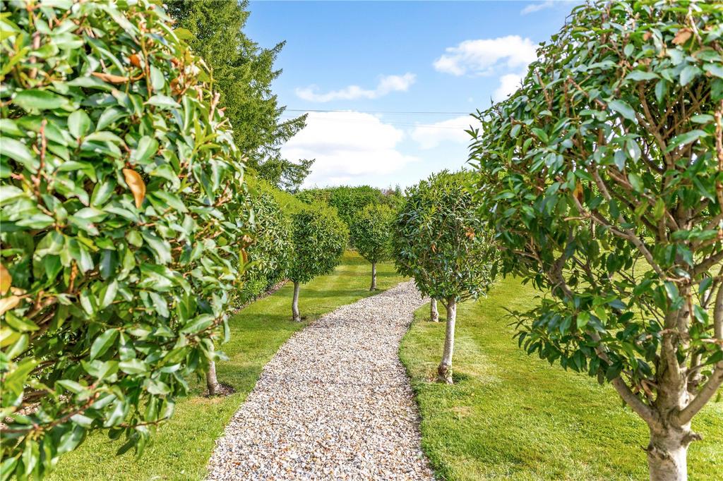 Mature Planting