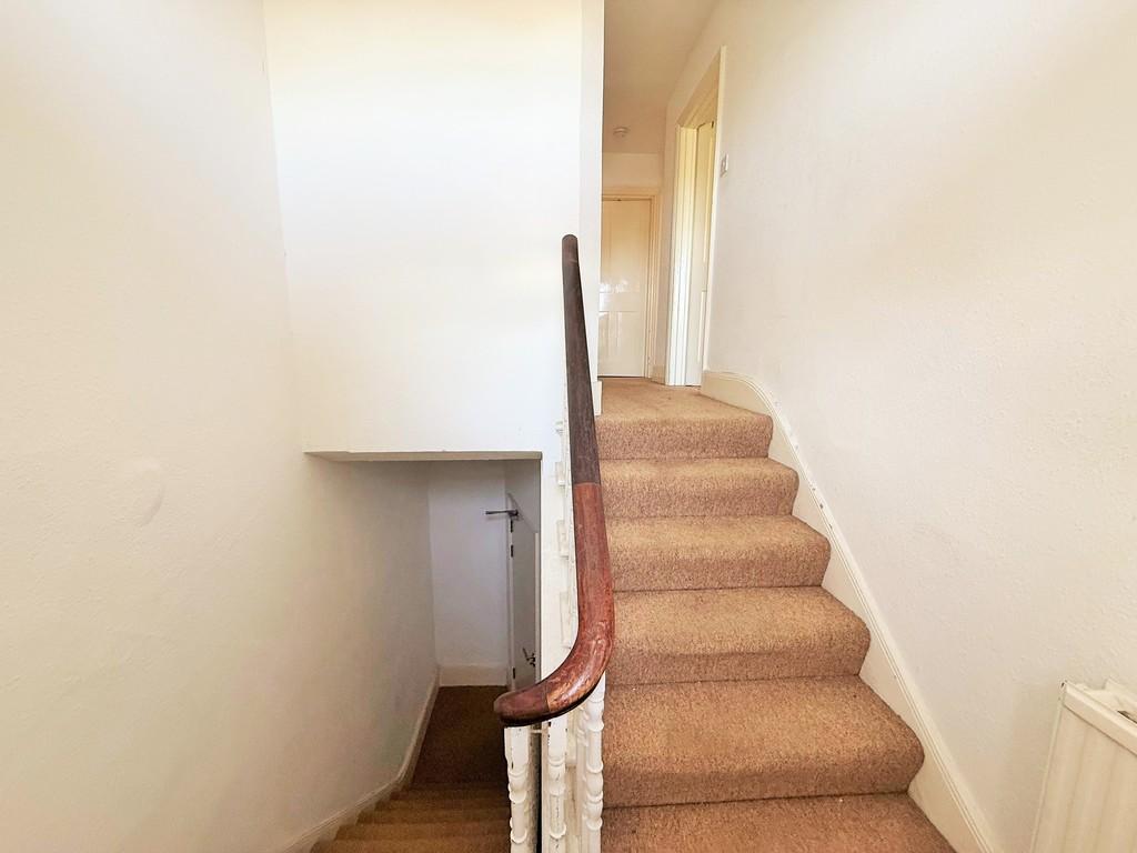 Img 6246