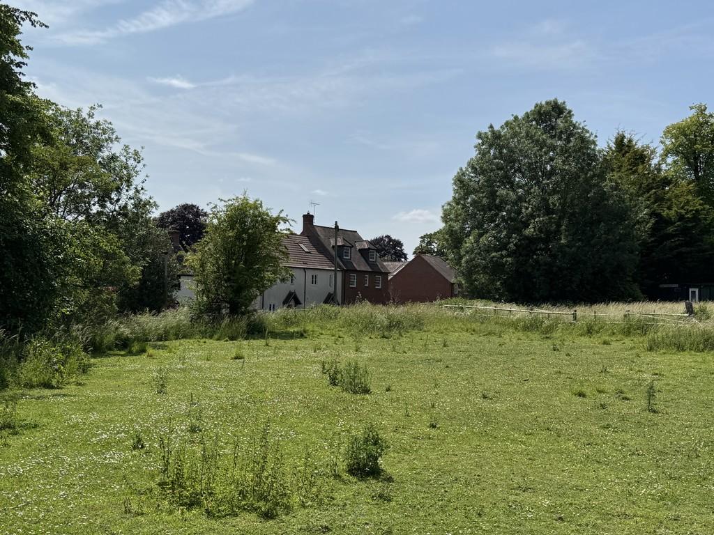 Img 2049
