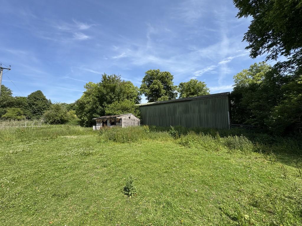 Img 2039