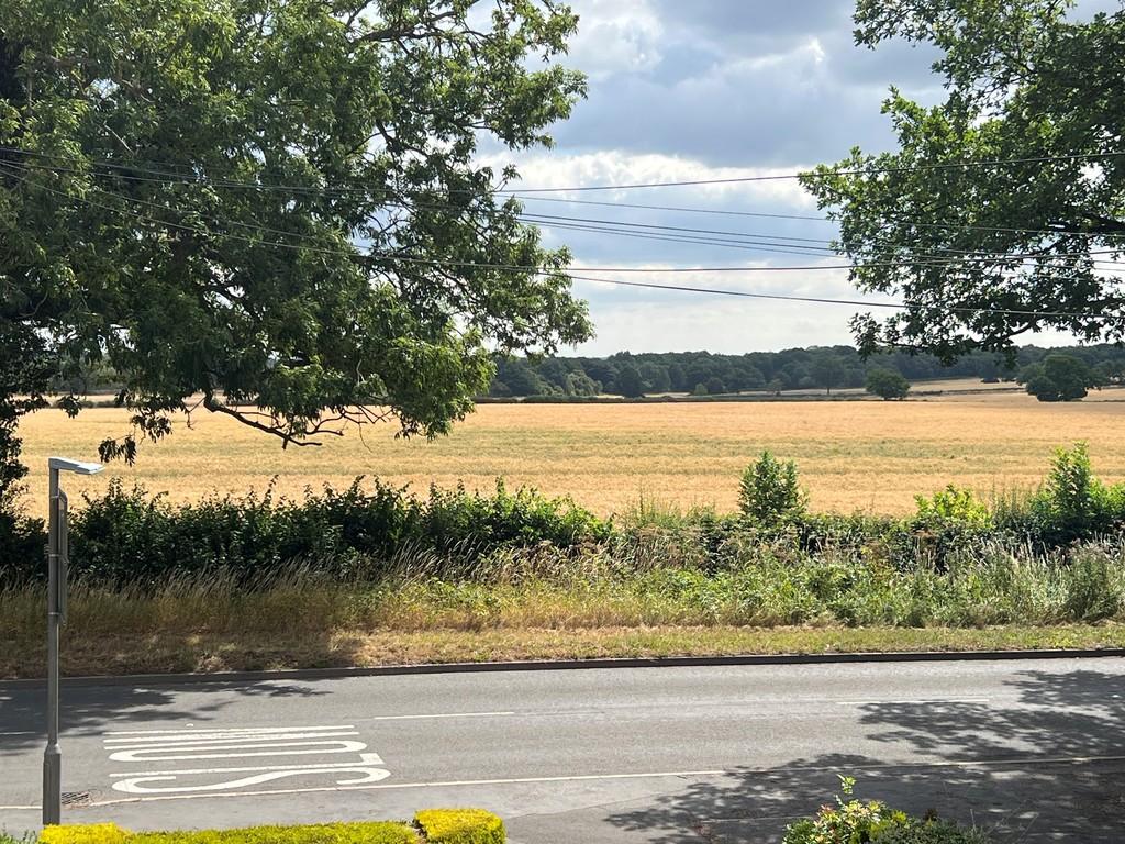 Views from Front of Property