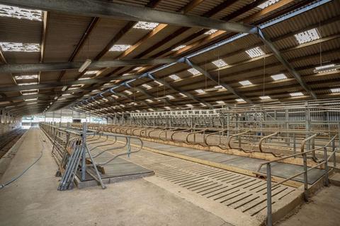 undefined, Lot 1, The Staward Estate, Sulby