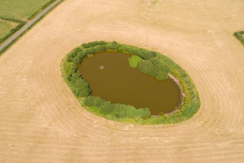 undefined, Lot 5 Land at Ballaterson, The Staward Estate, Sulby