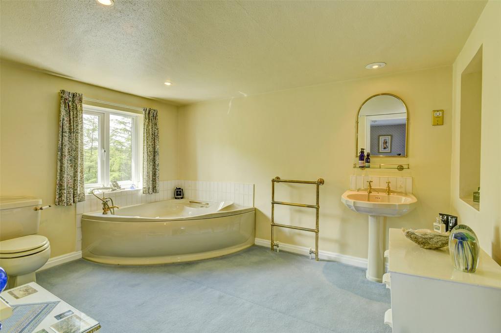 Picture No. 81