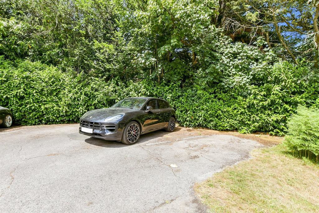 Driveway/Parking