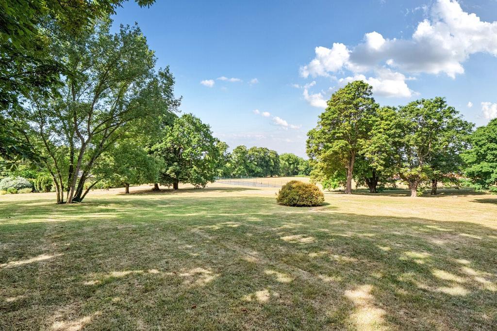 Grounds