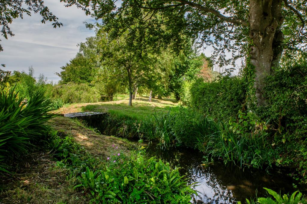 Stream