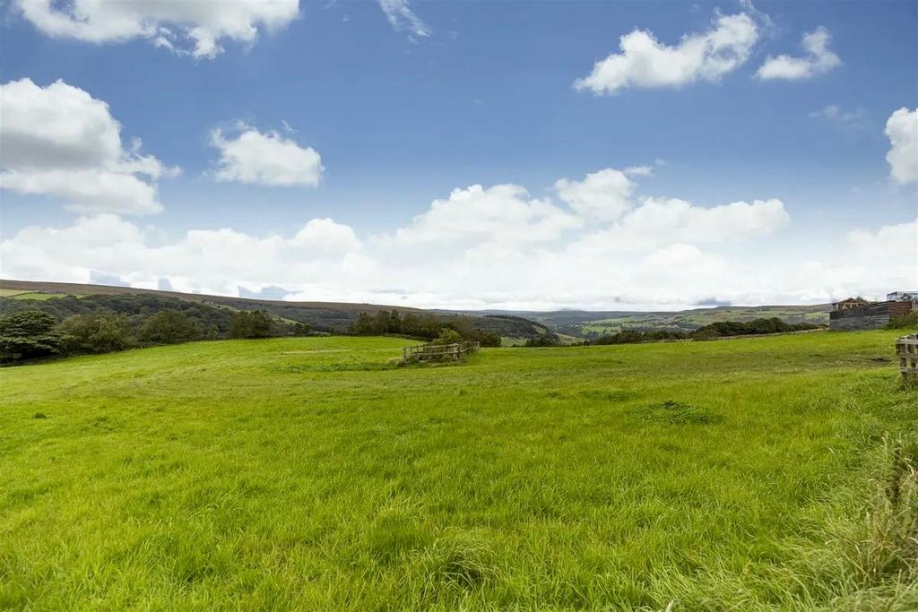 Photograph 7