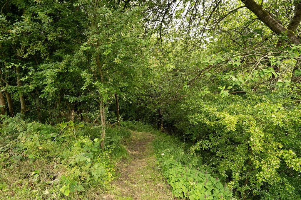 Woodland