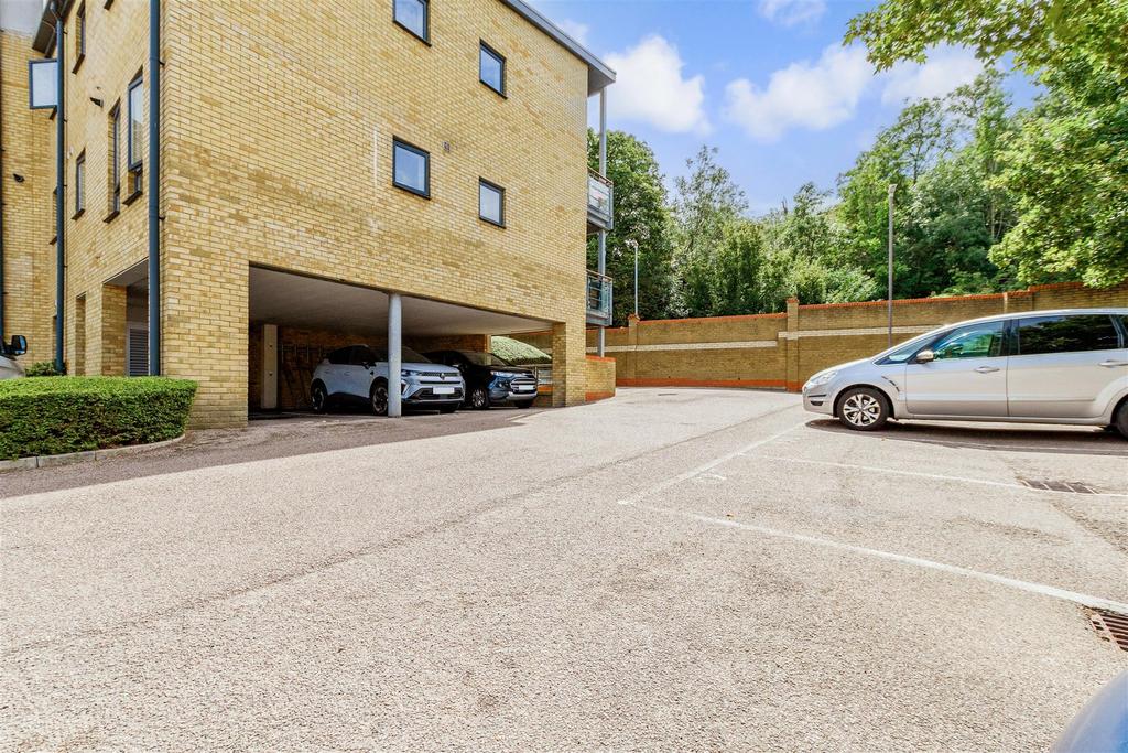 Driveway/Parking