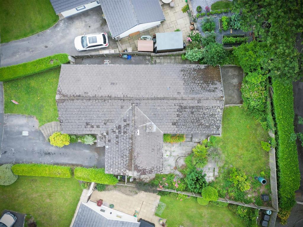 DJI 0181.jpg