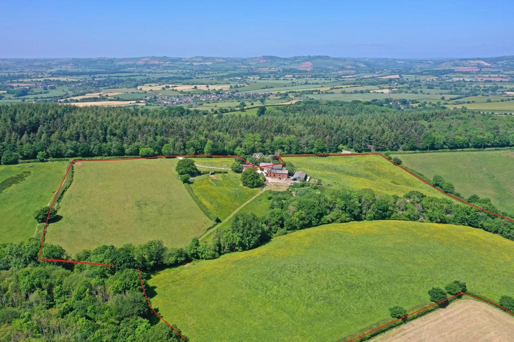 Aerial