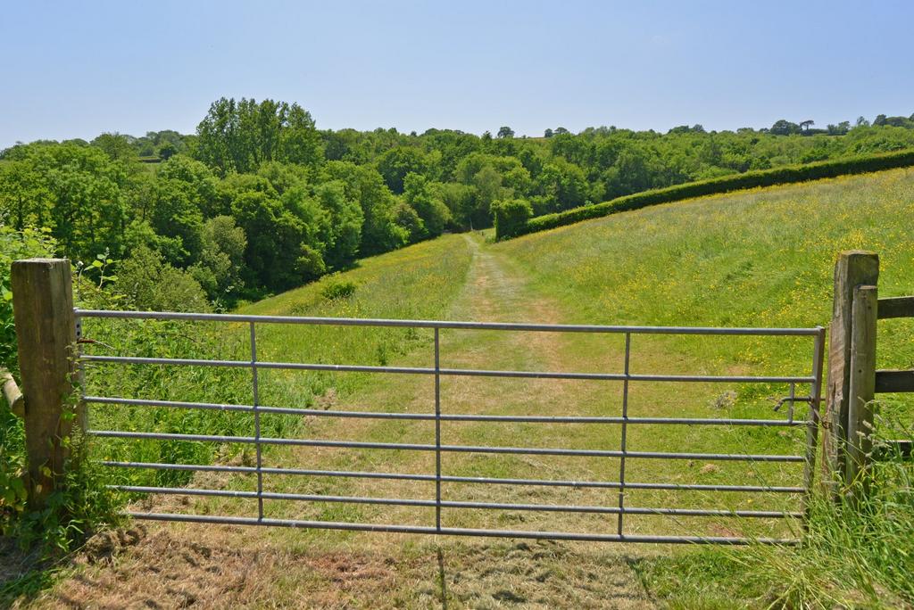 Fields