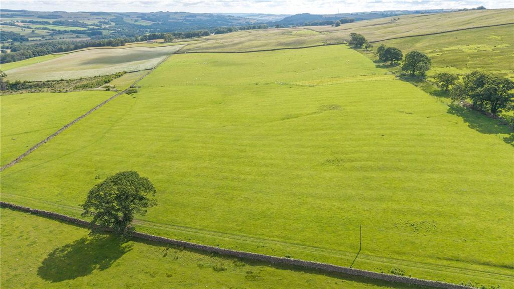Picture No. 46