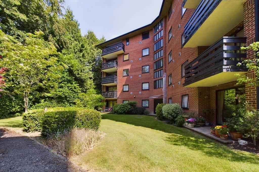 CAM01635 G0-PR0046-STILL006-thumbnail-h750-70.jpg