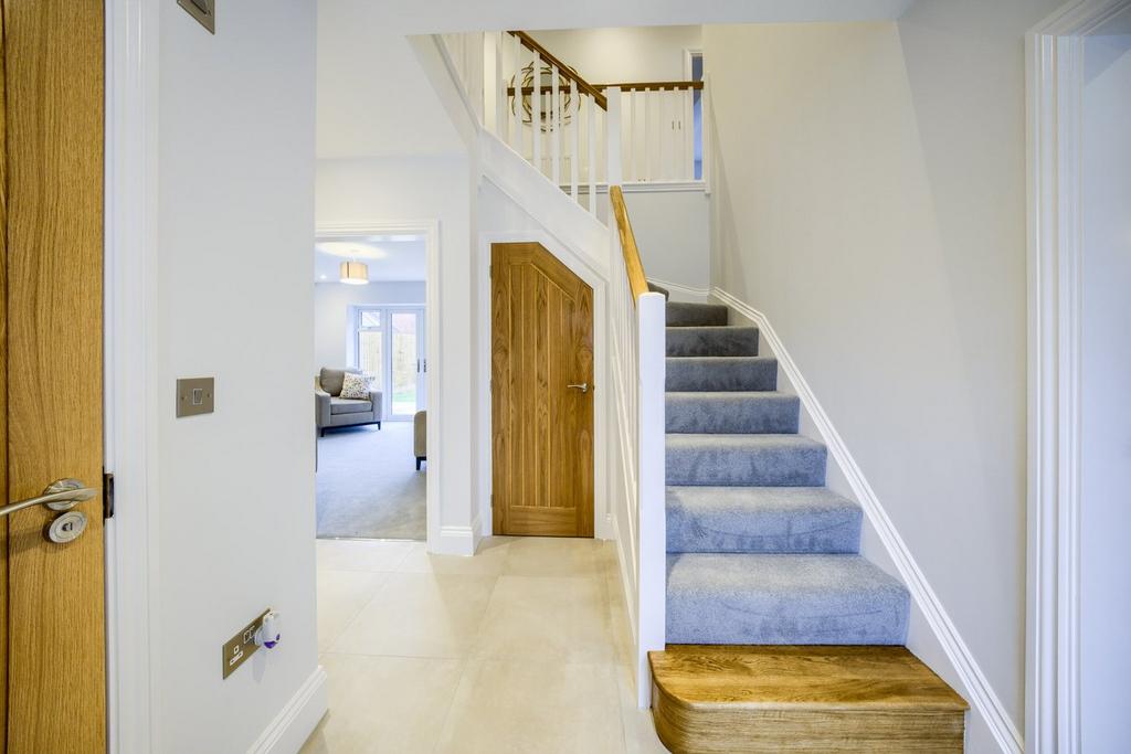 Previous Development