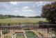 The Common, Swardeston photo 2