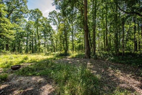 Land for sale, Fryland Lane, Wineham