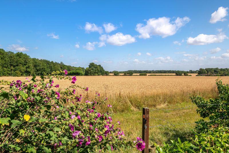 Countryside views