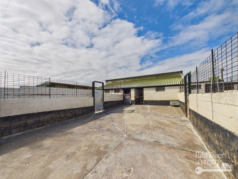 Kennels