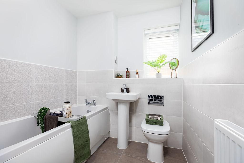 Indicative image