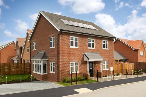 undefined, Plot 41, The Briar at Scholars' Meadows, School Lane NE39